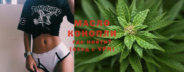 ешки Дмитриев