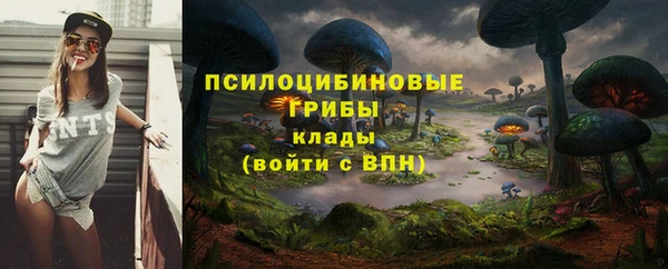 ГАЛЛЮЦИНОГЕННЫЕ ГРИБЫ Михайловск