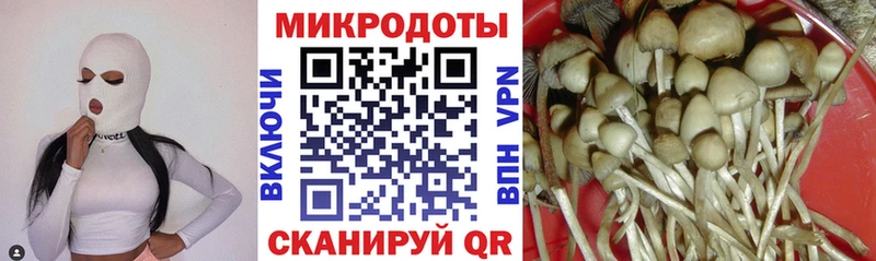 наркотики  Подпорожье  Галлюциногенные грибы Psilocybe 