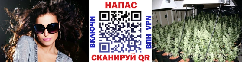 Бошки марихуана MAZAR  даркнет формула  Подпорожье  как найти наркотики 